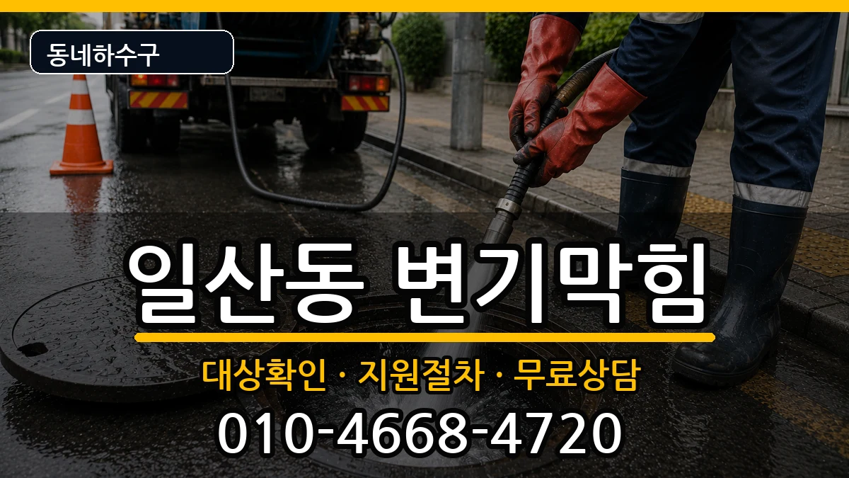 경기고양시일산서구일산동 변기막힘 경기고양시일산서구일산동 변기막힘 증상 처리 안내 이미지 1