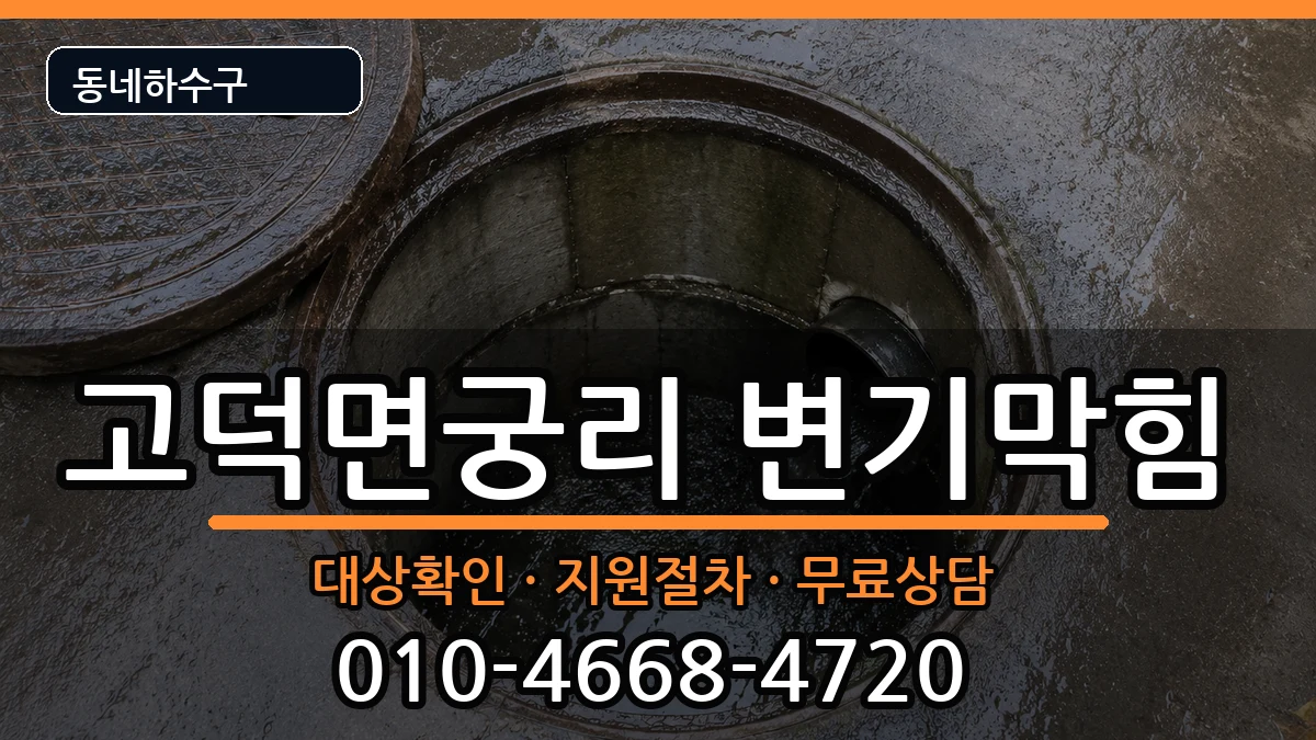 경기평택시고덕면궁리 변기막힘 경기평택시고덕면궁리 변기막힘 증상 처리 안내 이미지 1