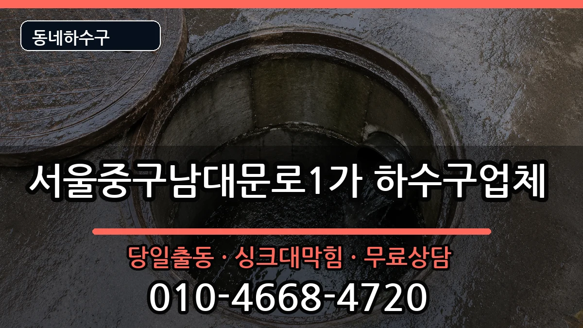 서울중구남대문로1가 하수구막힘 서울중구남대문로1가 하수구막힘 증상 처리 안내 이미지 3