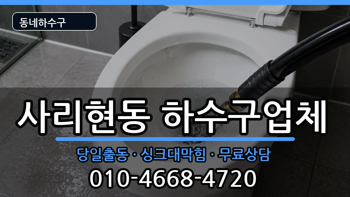 경기고양시일산동구사리현동 하수구막힘 경기고양시일산동구사리현동 하수구막힘 증상 처리 안내 이미지 2
