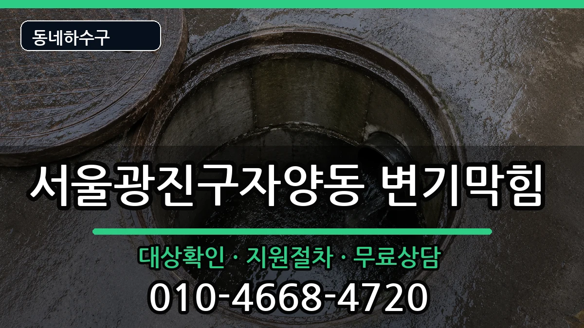 서울광진구자양동 변기막힘 증상 처리 안내 이미지 3