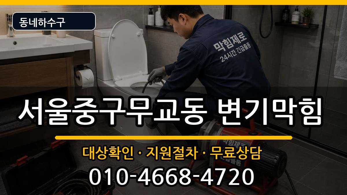 서울중구무교동 변기막힘 서울중구무교동 변기막힘 증상 처리 안내 이미지 2