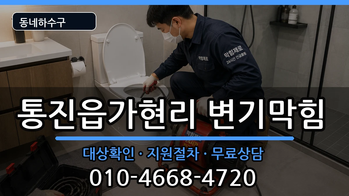 경기김포시통진읍가현리 변기막힘 경기김포시통진읍가현리 변기막힘 증상 처리 안내 이미지 3