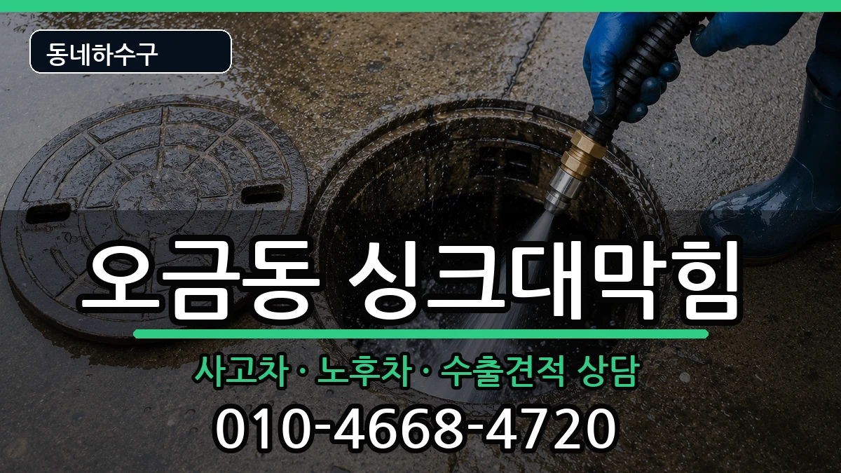 경기고양시덕양구오금동 싱크대막힘 증상 처리 안내 이미지 3