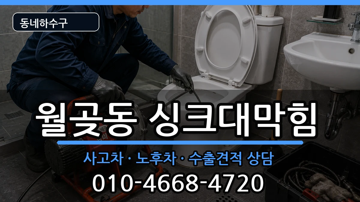 경기시흥시월곶동 싱크대막힘 증상 처리 안내 이미지 3