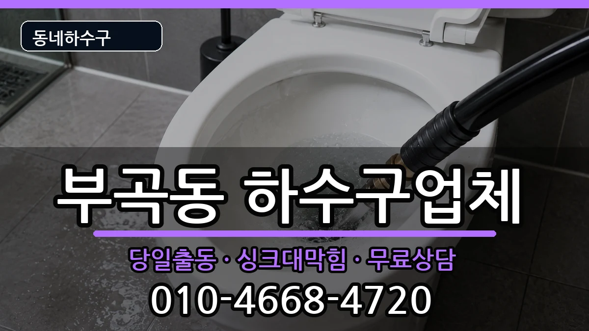 경기안산시상록구부곡동 하수구막힘 경기안산시상록구부곡동 하수구막힘 증상 처리 안내 이미지 1