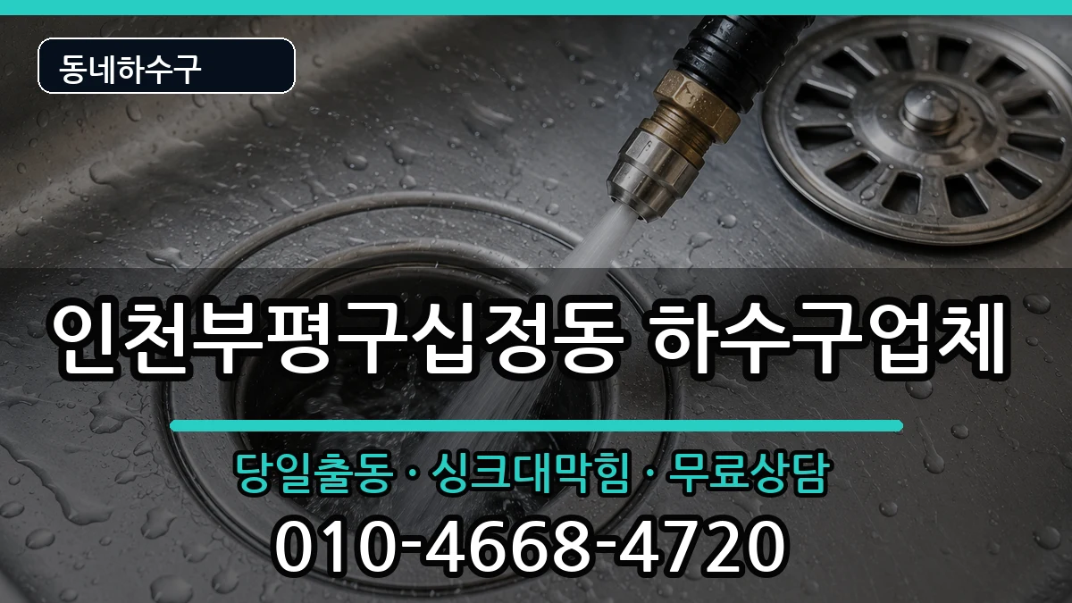 인천부평구십정동 하수구막힘 증상 처리 안내 이미지 3