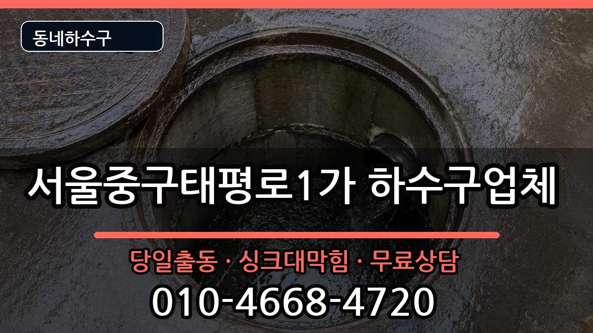 서울중구태평로1가 하수구막힘 서울중구태평로1가 하수구막힘 증상 처리 안내 이미지 3