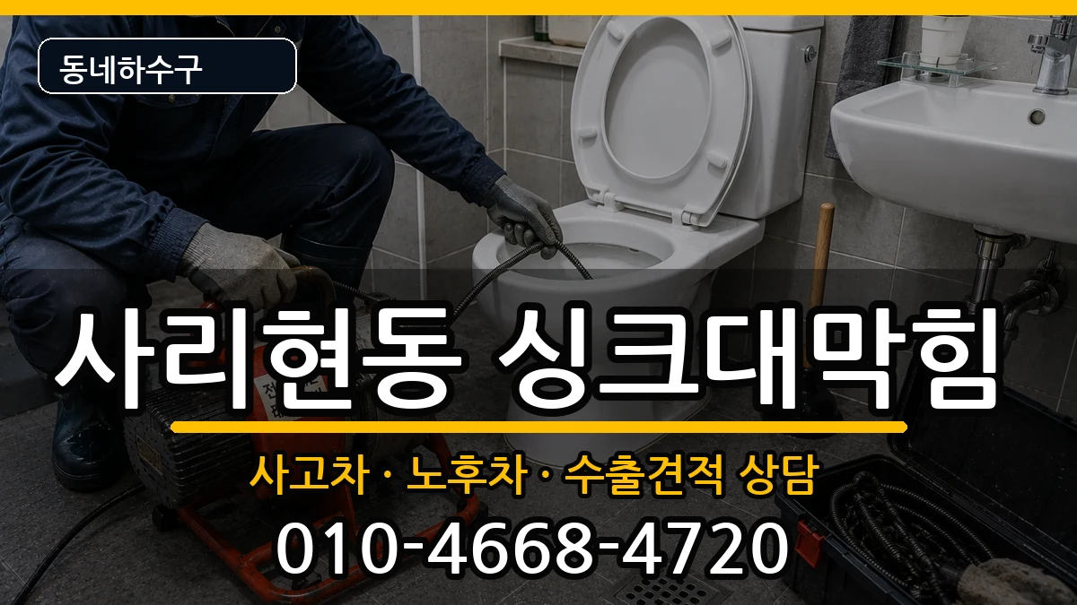 경기고양시일산동구사리현동  싱크대막힘 비교형