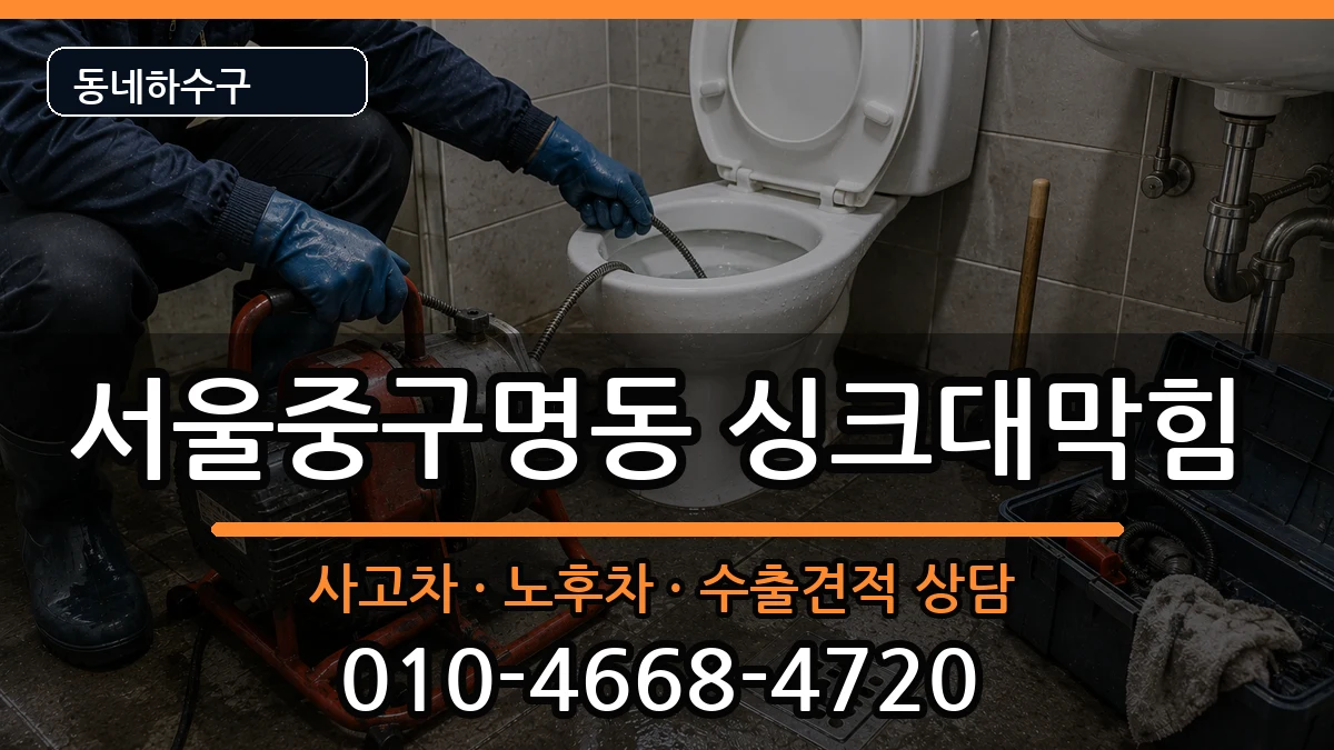 서울중구명동 싱크대막힘 서울중구명동 싱크대막힘 증상 처리 안내 이미지 2