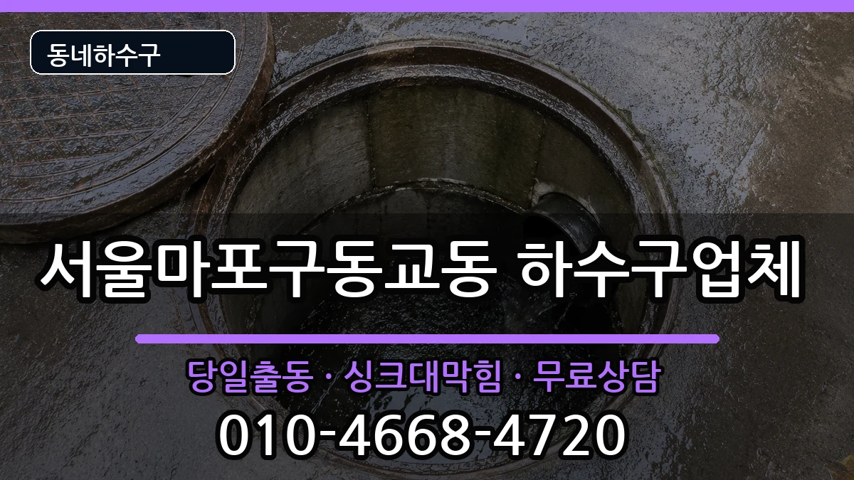 서울마포구동교동 하수구막힘 서울마포구동교동 하수구막힘 증상 처리 안내 이미지 3
