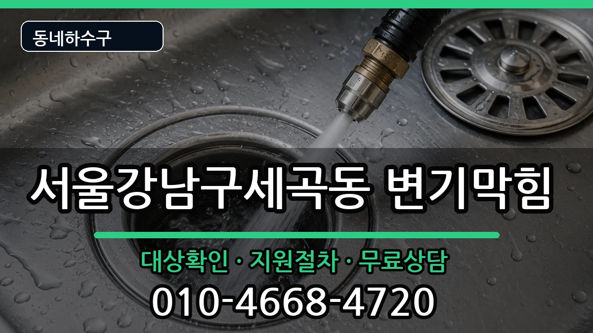 서울강남구세곡동 변기막힘 서울강남구세곡동 변기막힘 증상 처리 안내 이미지 1