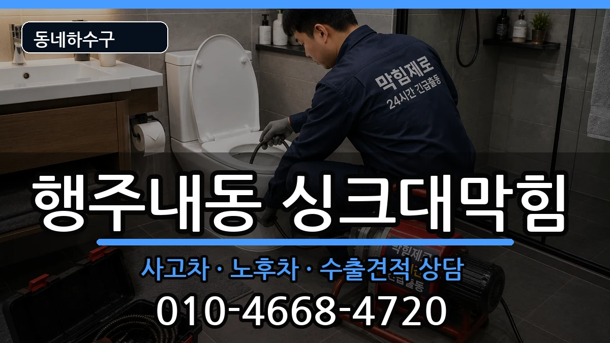 경기고양시덕양구행주내동 싱크대막힘 증상 처리 안내 이미지 3