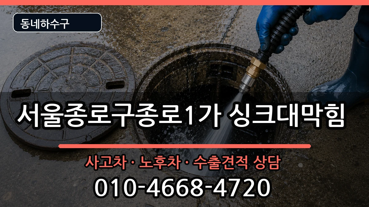 서울종로구종로1가 싱크대막힘 서울종로구종로1가 싱크대막힘 증상 처리 안내 이미지 1