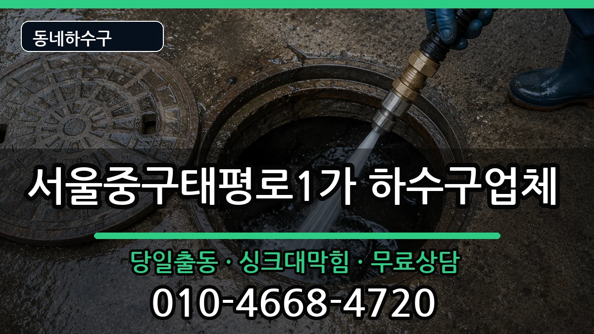서울중구태평로1가 하수구막힘 서울중구태평로1가 하수구막힘 증상 처리 안내 이미지 1