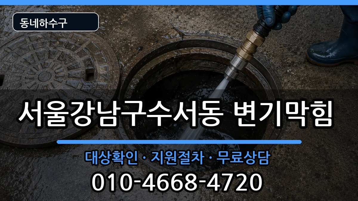 서울강남구수서동 변기막힘 증상 처리 안내 이미지 3