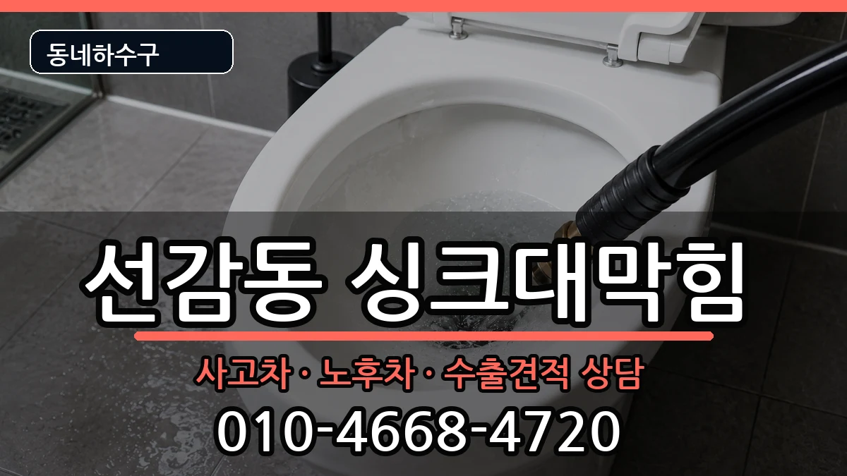 경기안산시단원구선감동 싱크대막힘 경기안산시단원구선감동 싱크대막힘 증상 처리 안내 이미지 3