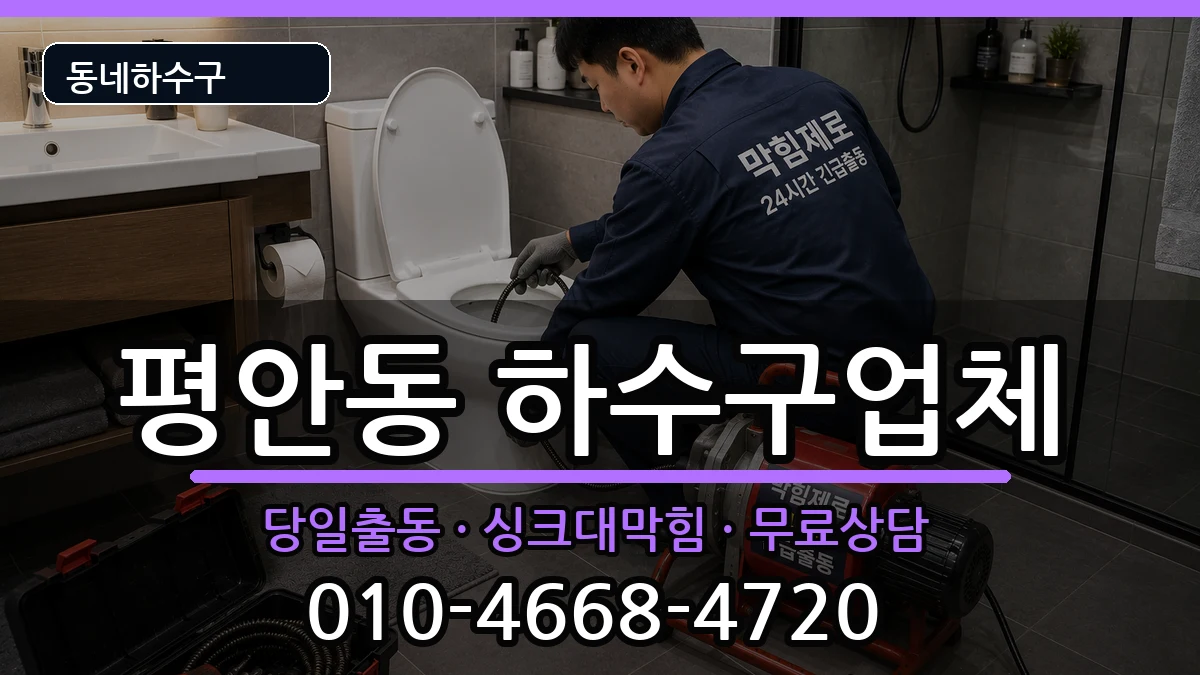 경기안양시동안구평안동 하수구막힘 경기안양시동안구평안동 하수구막힘 증상 처리 안내 이미지 1