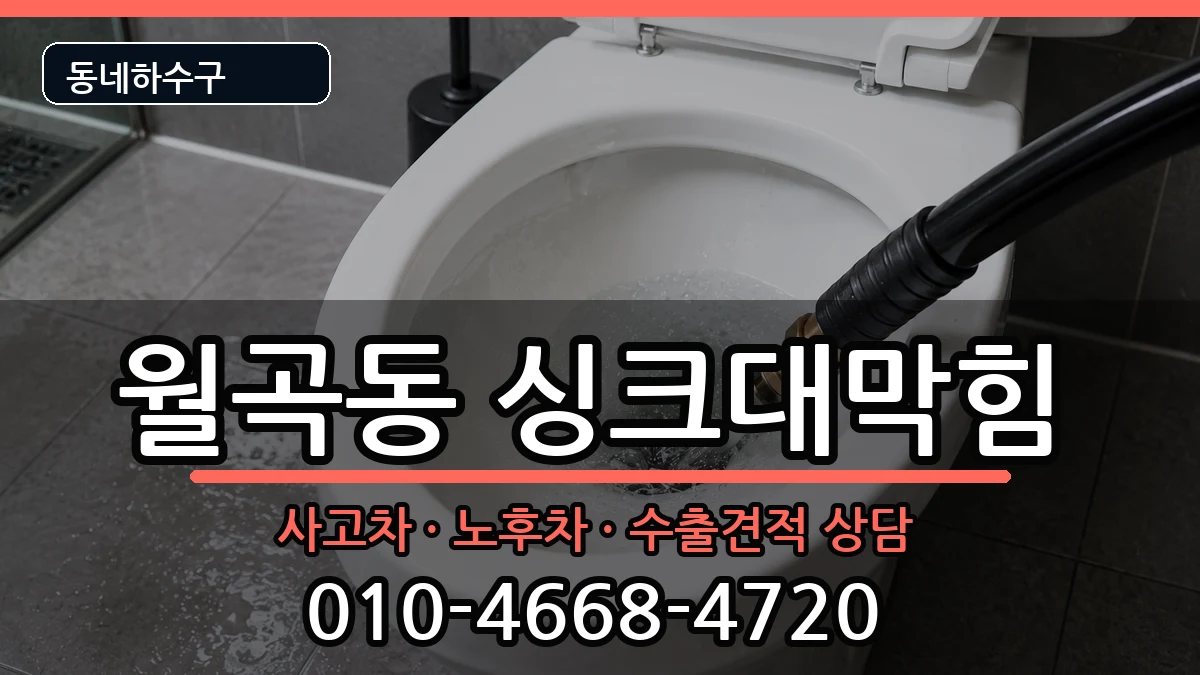 경기평택시월곡동 싱크대막힘 증상 처리 안내 이미지 3
