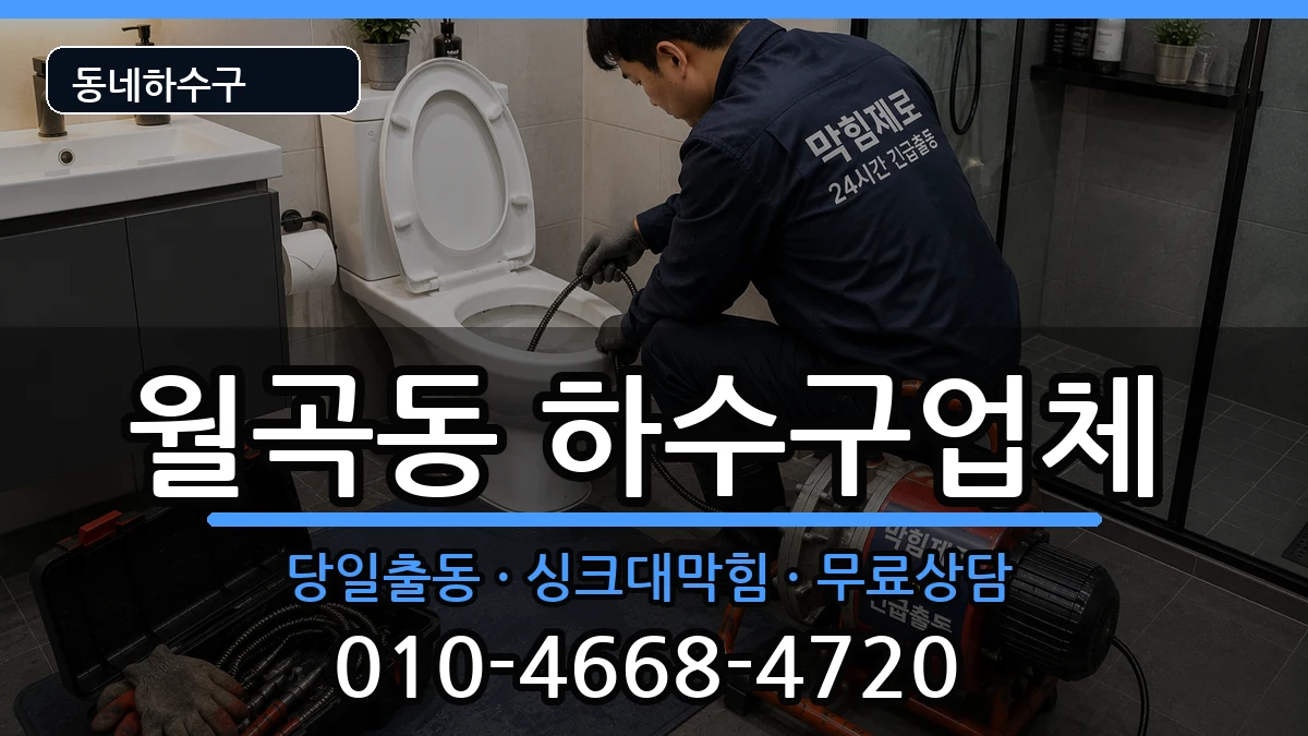 경기평택시월곡동 하수구막힘 경기평택시월곡동 하수구막힘 증상 처리 안내 이미지 1