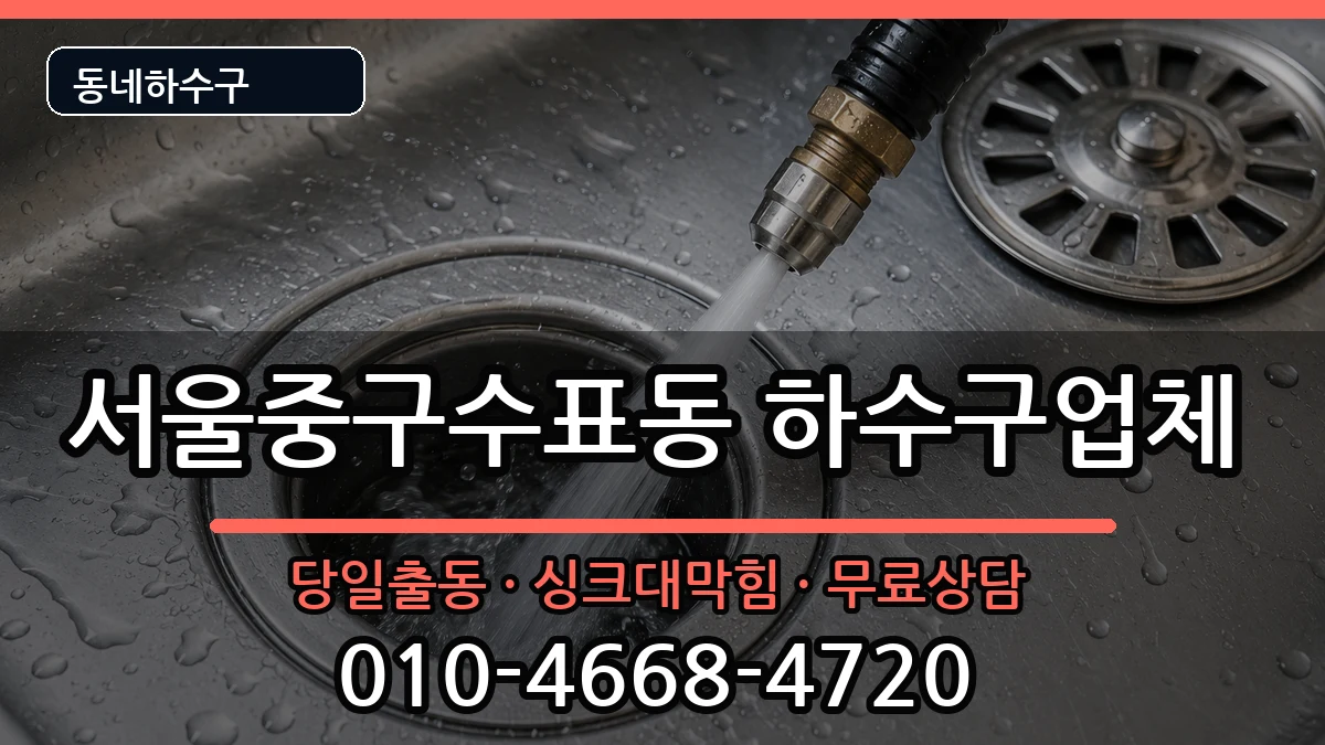 서울중구수표동 하수구막힘 서울중구수표동 하수구막힘 증상 처리 안내 이미지 2