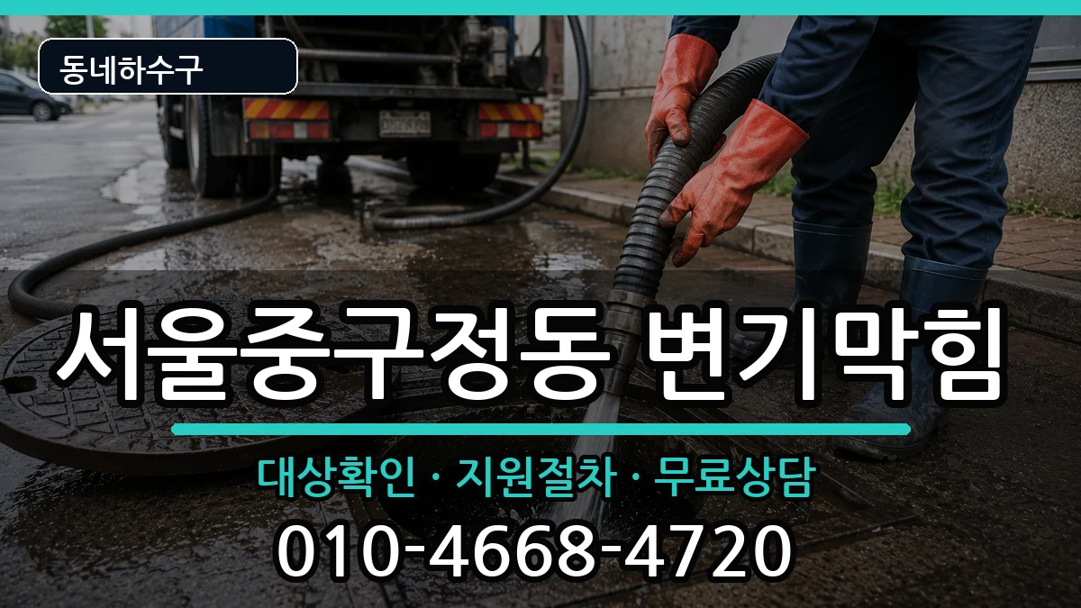 서울중구정동 변기막힘 서울중구정동 변기막힘 증상 처리 안내 이미지 3