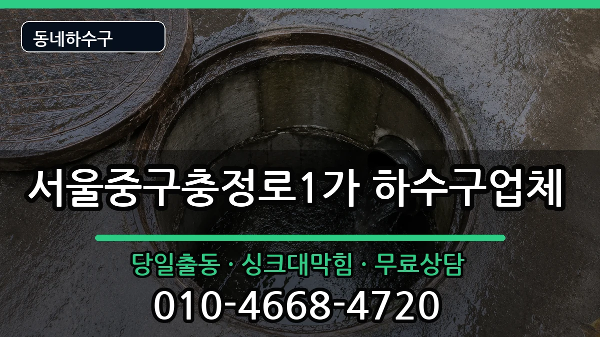 서울중구충정로1가 하수구막힘 서울중구충정로1가 하수구막힘 증상 처리 안내 이미지 1