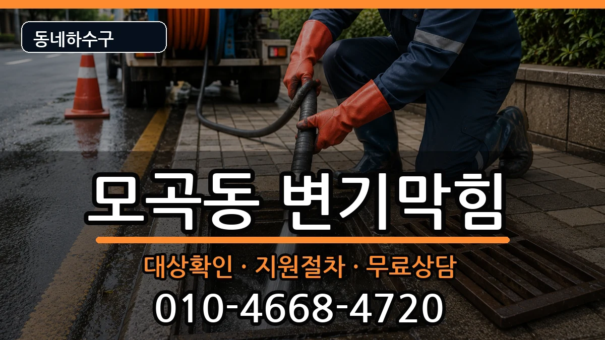 경기평택시모곡동  변기막힘 질문형