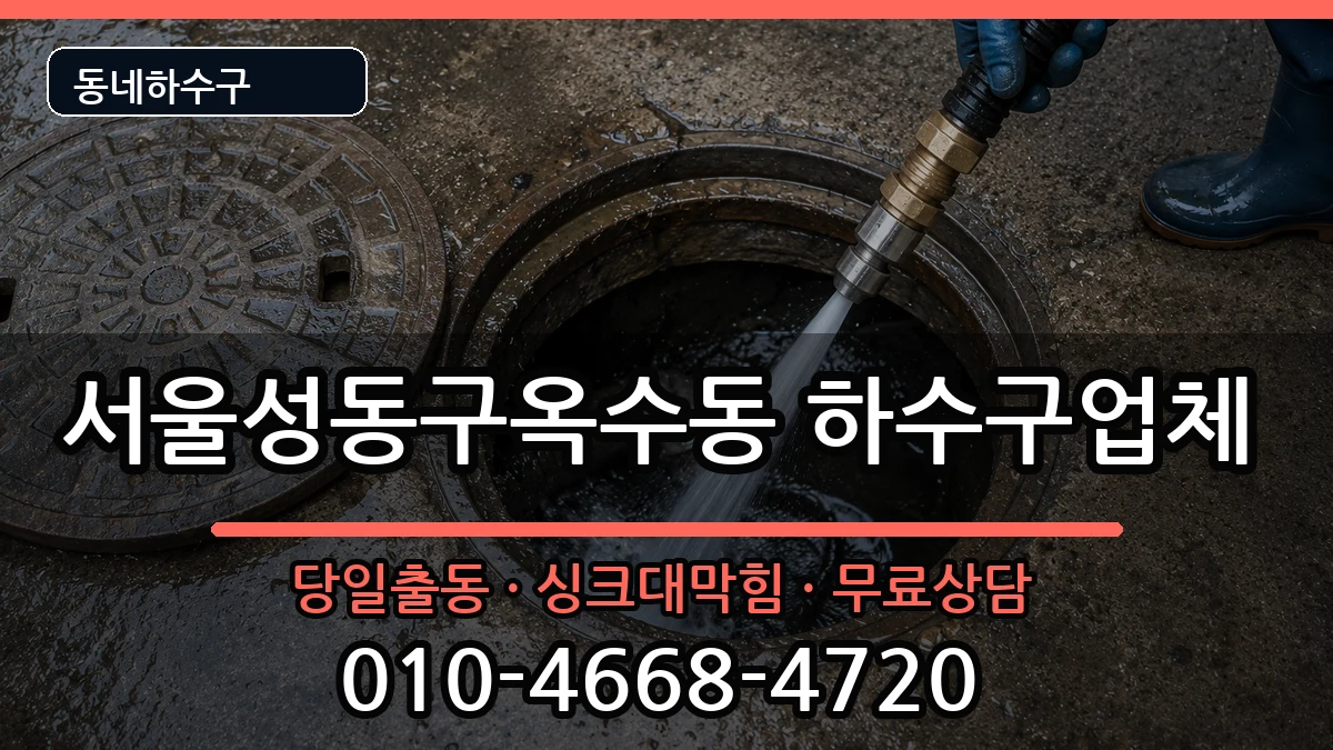 서울성동구옥수동 하수구막힘 증상 처리 안내 이미지 3