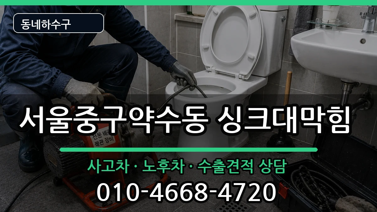 서울중구약수동  싱크대막힘 비교형