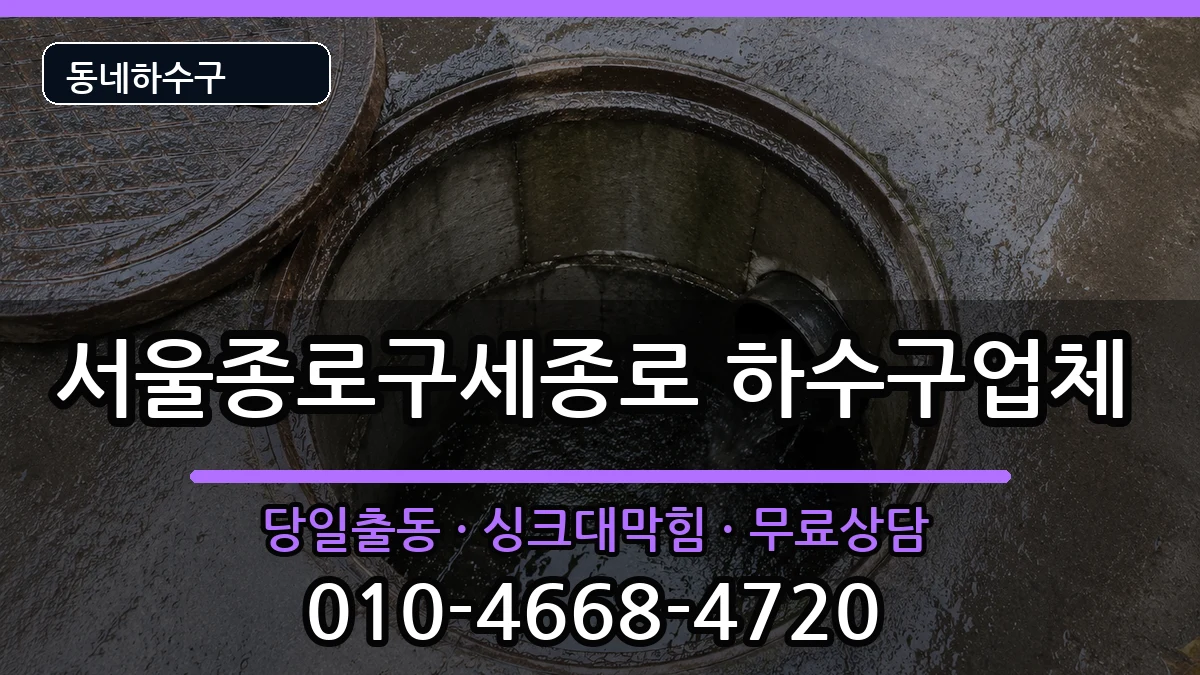 서울종로구세종로 하수구막힘 서울종로구세종로 하수구막힘 증상 처리 안내 이미지 1