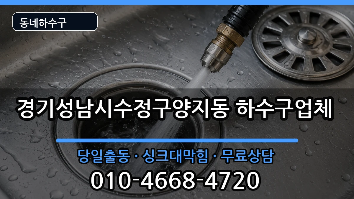 경기성남시수정구양지동 하수구막힘 증상 처리 안내 이미지 1