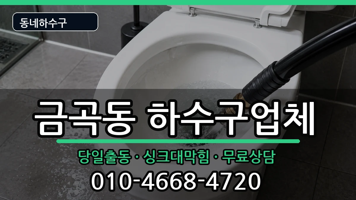 경기남양주시금곡동 하수구막힘 경기남양주시금곡동 하수구막힘 증상 처리 안내 이미지 1
