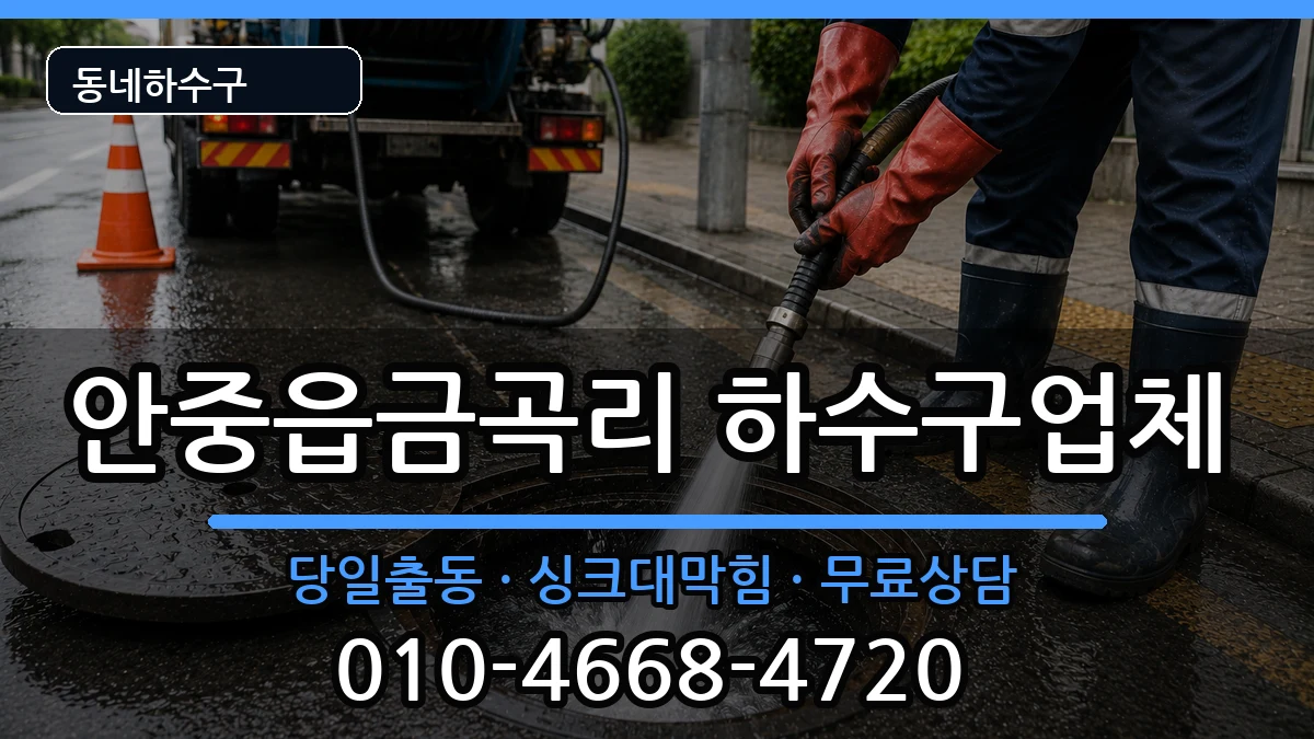 경기평택시안중읍금곡리 하수구막힘 경기평택시안중읍금곡리 하수구막힘 증상 처리 안내 이미지 2