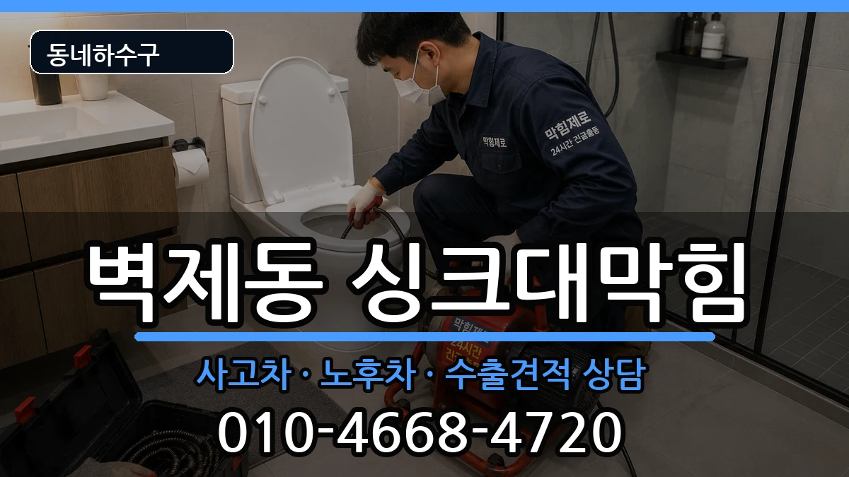 경기고양시덕양구벽제동 싱크대막힘 증상 처리 안내 이미지 1