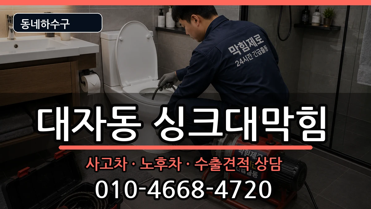 경기고양시덕양구대자동 싱크대막힘 증상 처리 안내 이미지 2