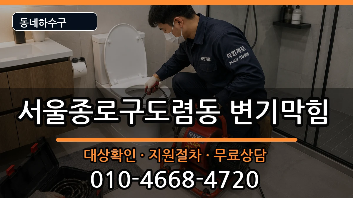 서울종로구도렴동 변기막힘 서울종로구도렴동 변기막힘 증상 처리 안내 이미지 3