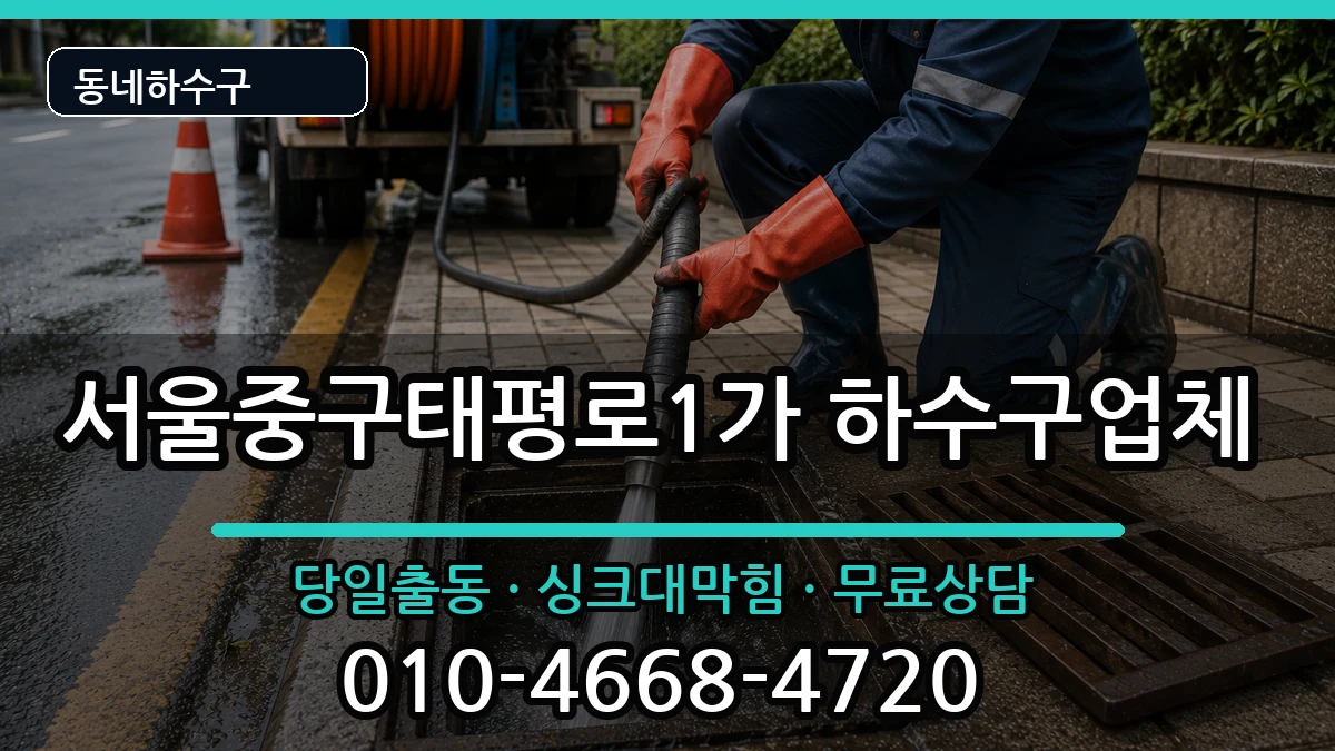 서울중구태평로1가 하수구막힘 증상 처리 안내 이미지 2