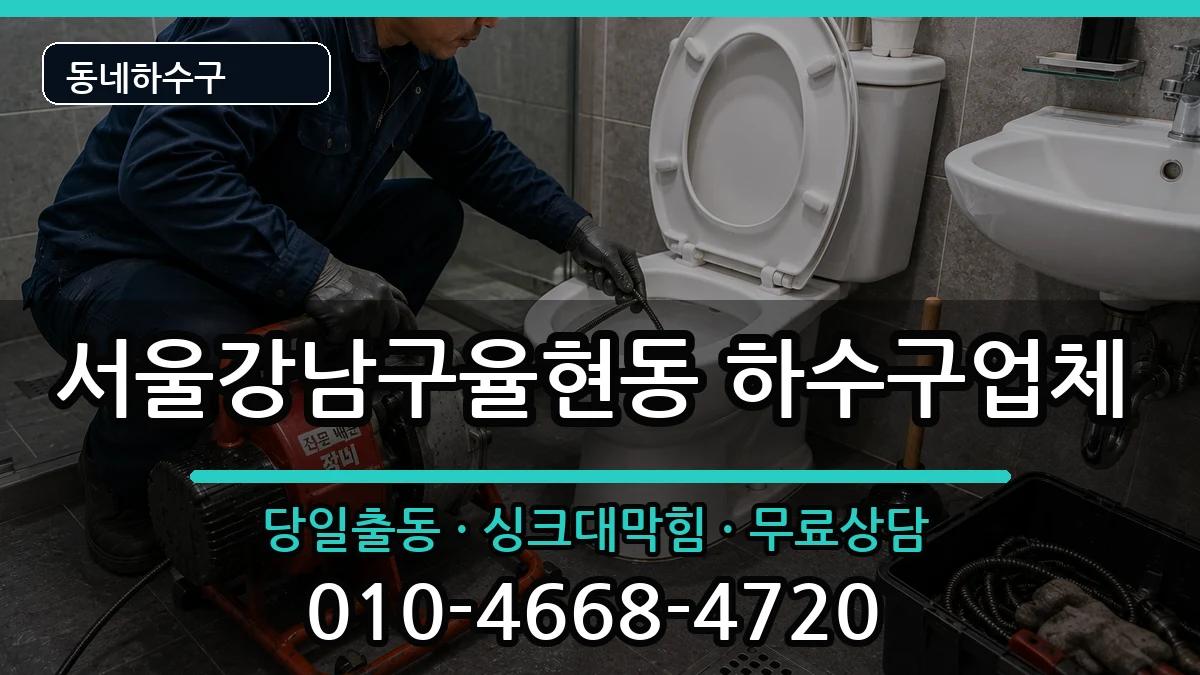 서울강남구율현동  하수구막힘 사례형