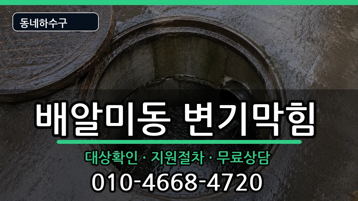 경기하남시배알미동 변기막힘 증상 처리 안내 이미지 2