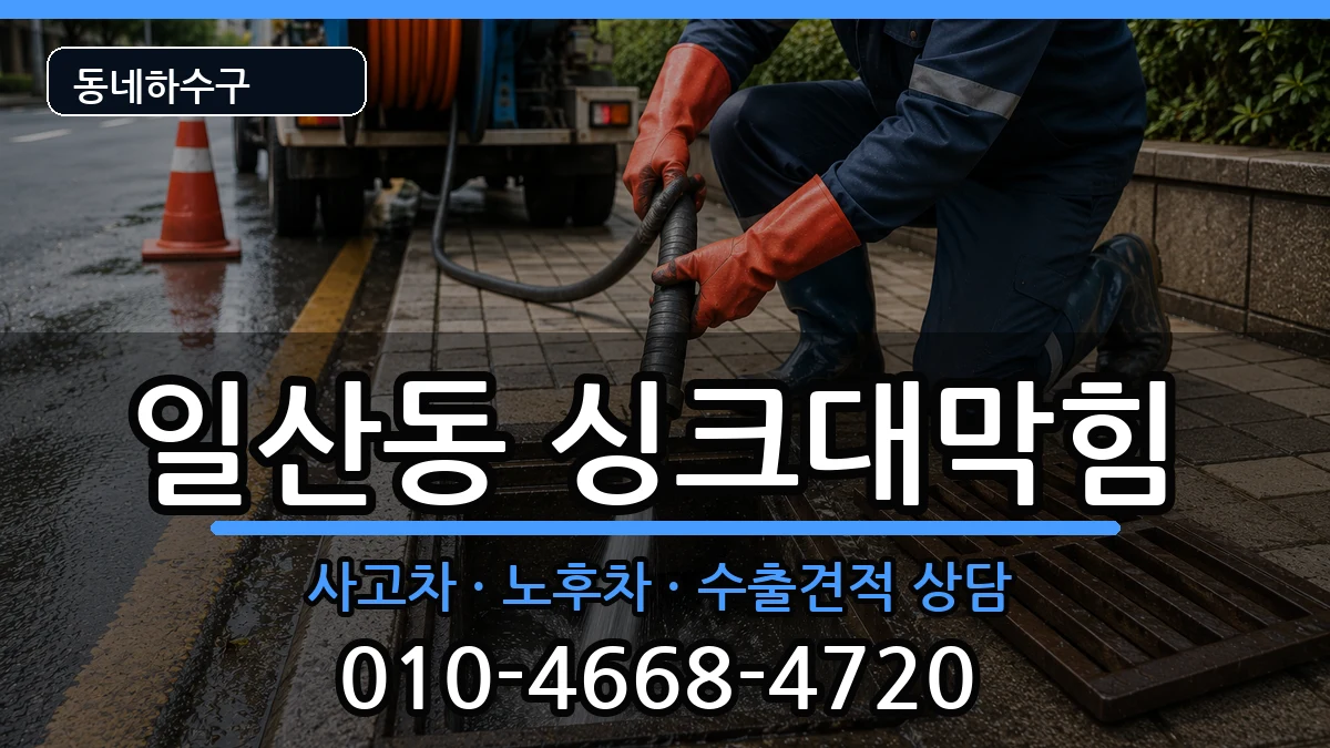 경기고양시일산서구일산동 싱크대막힘 경기고양시일산서구일산동 싱크대막힘 증상 처리 안내 이미지 3