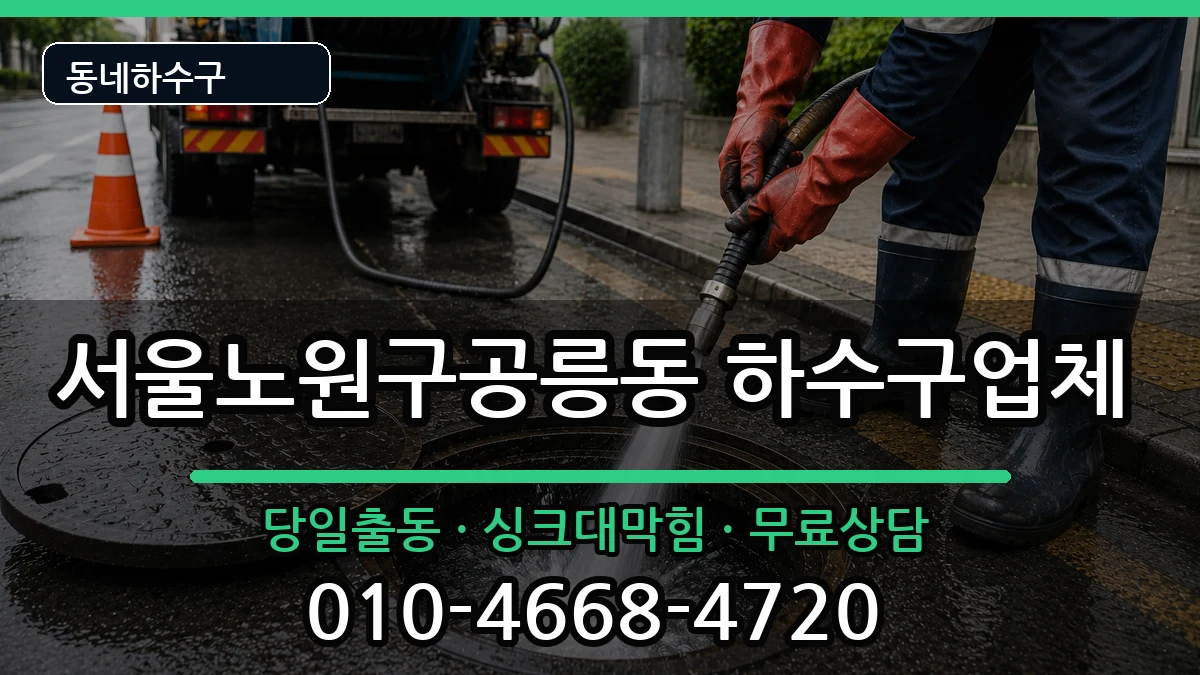 서울노원구공릉동 하수구막힘 서울노원구공릉동 하수구막힘 증상 처리 안내 이미지 2