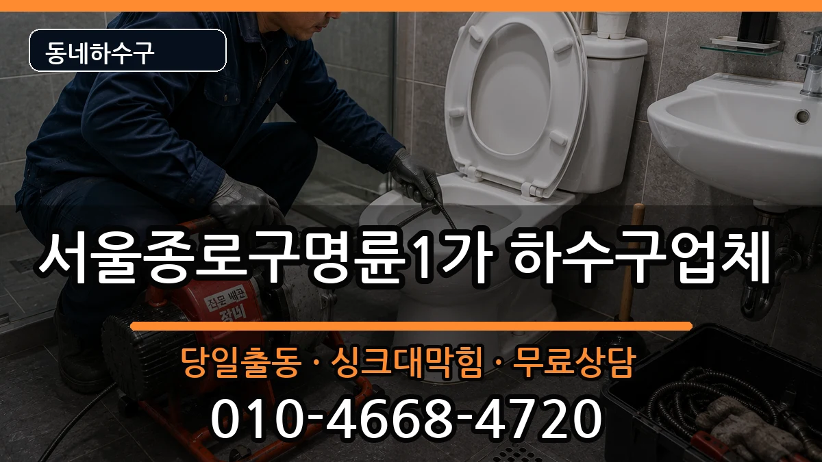 서울종로구명륜1가 하수구막힘 서울종로구명륜1가 하수구막힘 증상 처리 안내 이미지 1