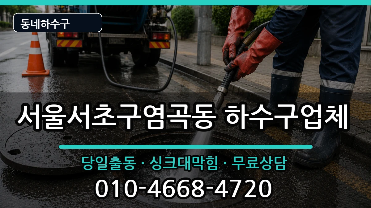 서울서초구염곡동 하수구막힘 서울서초구염곡동 하수구막힘 증상 처리 안내 이미지 3