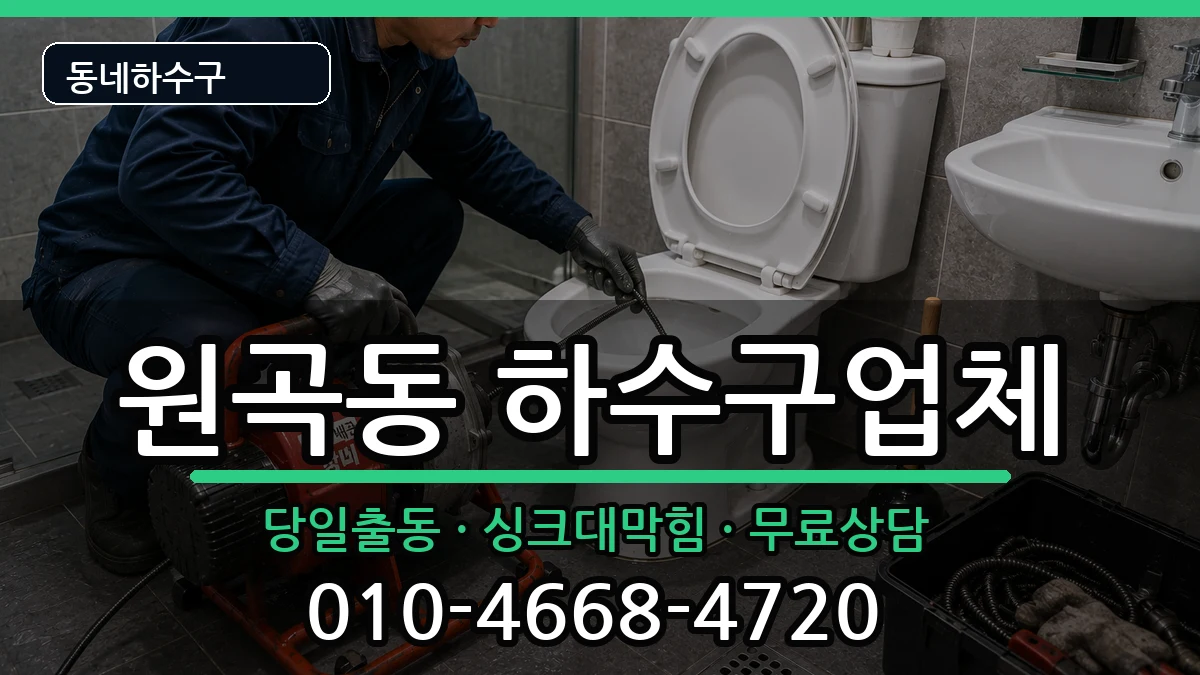 경기안산시단원구원곡동 하수구막힘 경기안산시단원구원곡동 하수구막힘 증상 처리 안내 이미지 2