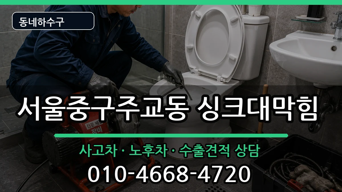 서울중구주교동 싱크대막힘 서울중구주교동 싱크대막힘 증상 처리 안내 이미지 1