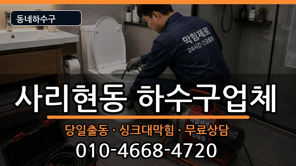 경기고양시일산동구사리현동 하수구막힘 경기고양시일산동구사리현동 하수구막힘 증상 처리 안내 이미지 1