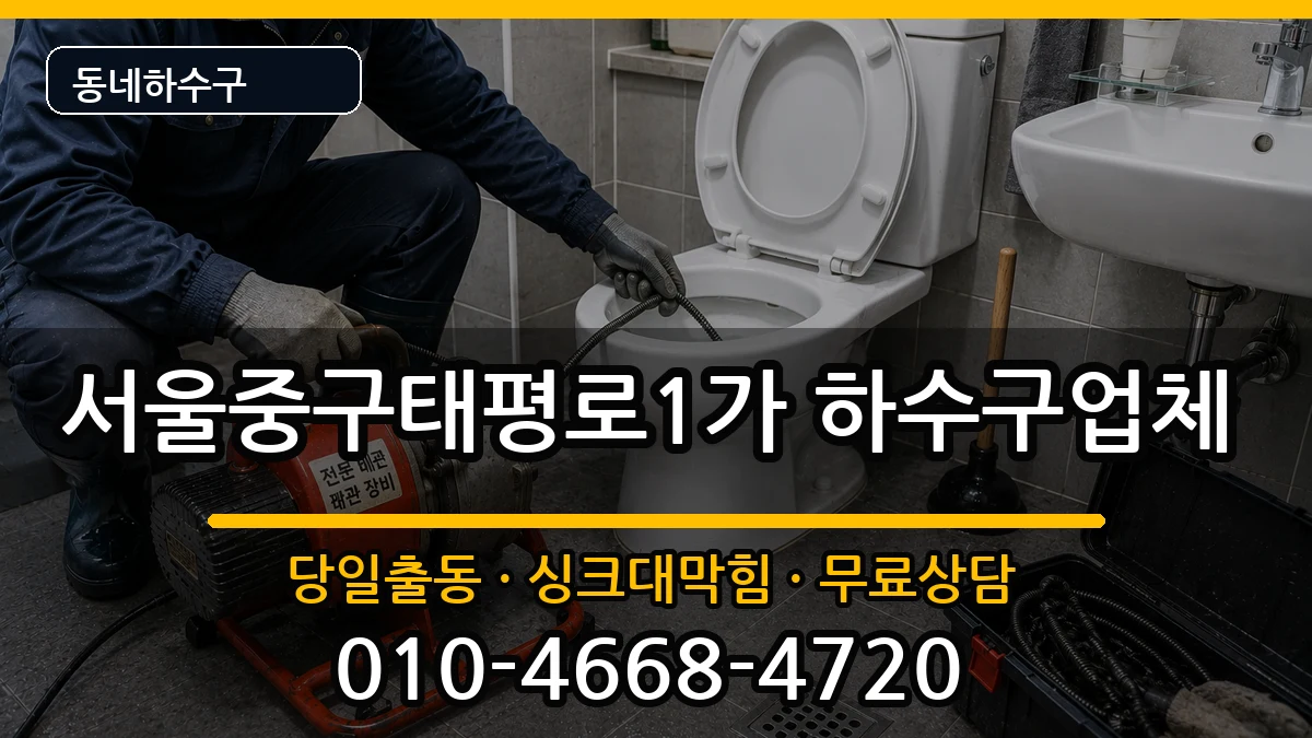 서울중구태평로1가 하수구막힘 서울중구태평로1가 하수구막힘 증상 처리 안내 이미지 2