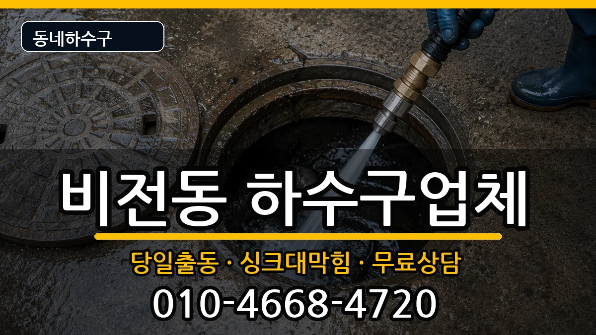 경기평택시비전동 하수구막힘 경기평택시비전동 하수구막힘 증상 처리 안내 이미지 3