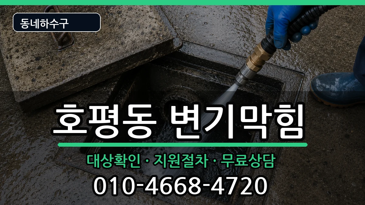 경기남양주시호평동 변기막힘 증상 처리 안내 이미지 3